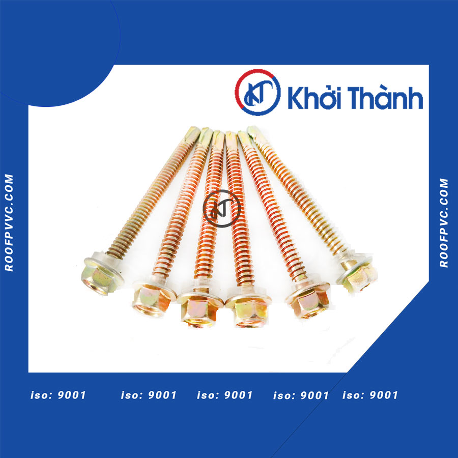 Stainless Steel Screw (inox)